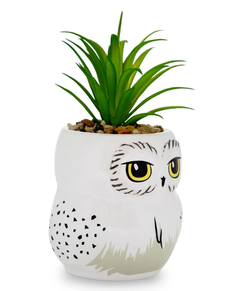 Harry Potter Hedwig Topf mit Sukkulente