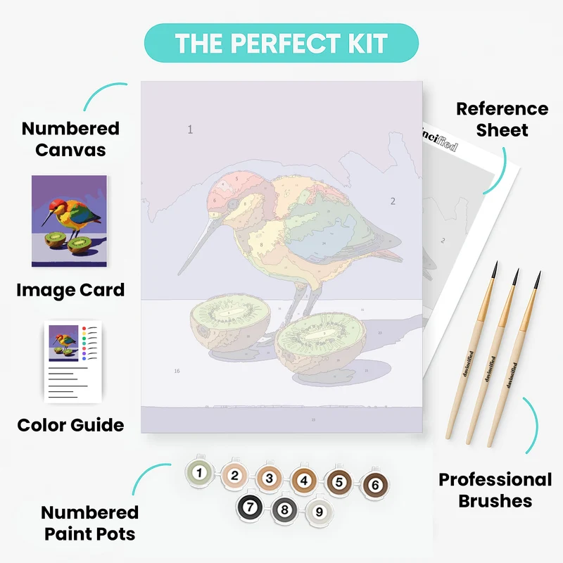 Rainbow Kiwi Bird with Kiwi Fruit - Paint by Numbers Kit