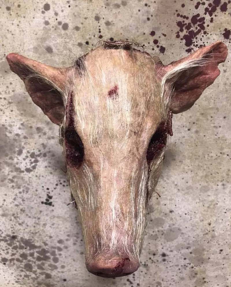 Blutige Behaarte Schweine Maske