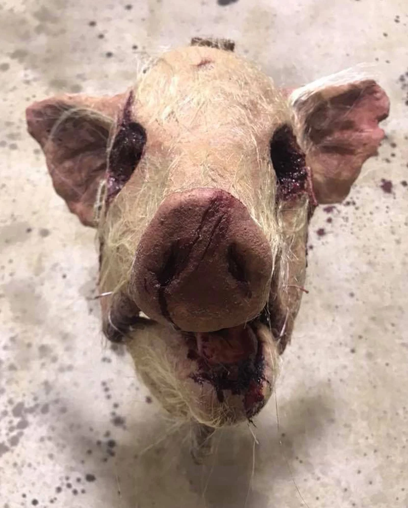 Blutige Behaarte Schweine Maske