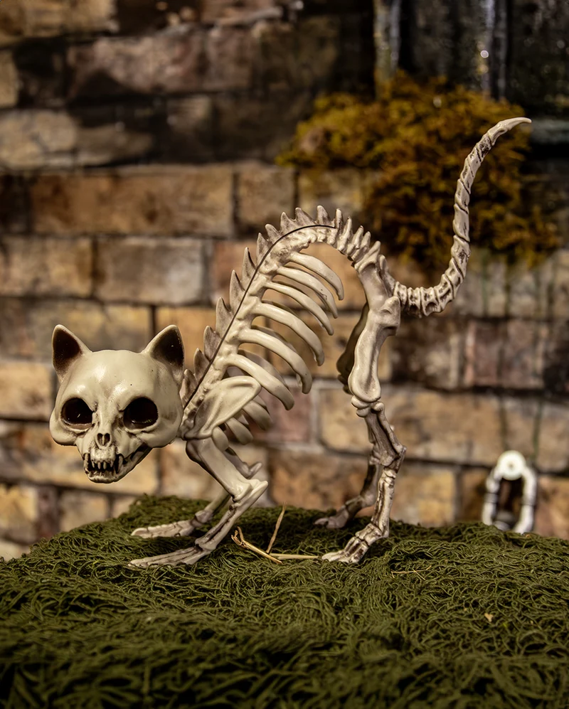 Katzenskelett mit Katzenbuckel Deko 19cm