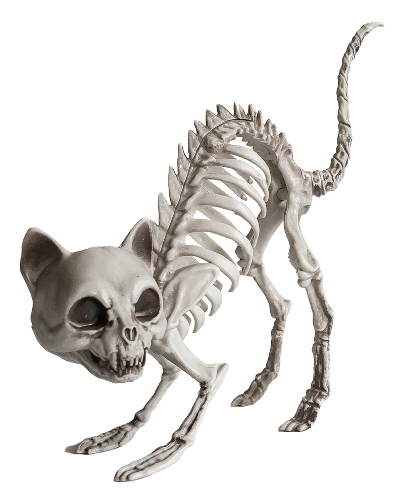 Katzenskelett mit Katzenbuckel Deko 19cm