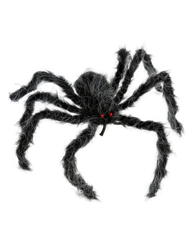 Grau-Schwarz Melierte Haarige Spinne