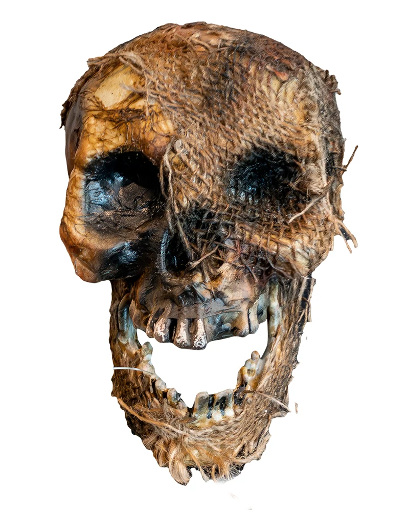 Vermoderter Totenschädel mit offenem Kiefer 22cm