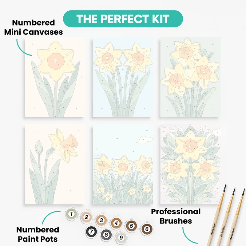 Daffodils - Mini Paint by Numbers Set