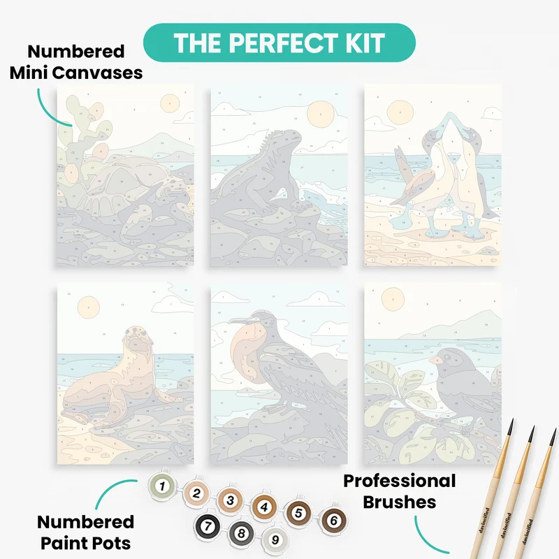 Galapagos National Park - Mini Paint by Numbers Set