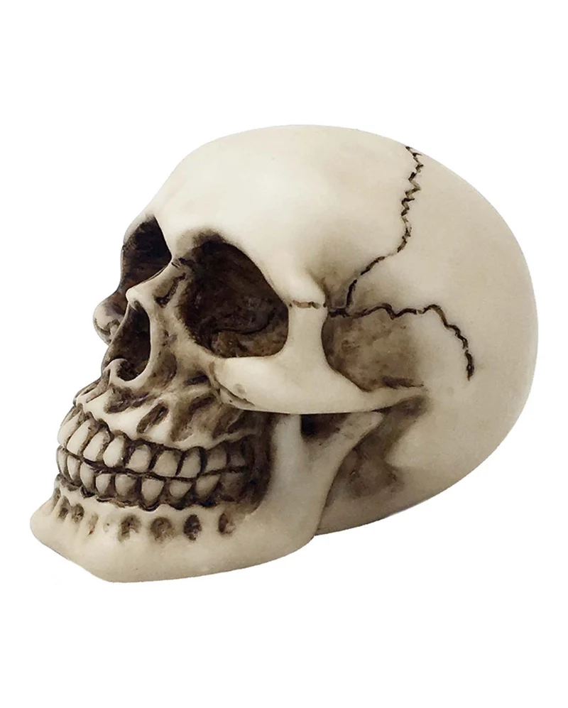 Kleiner Totenkopf 9,5cm