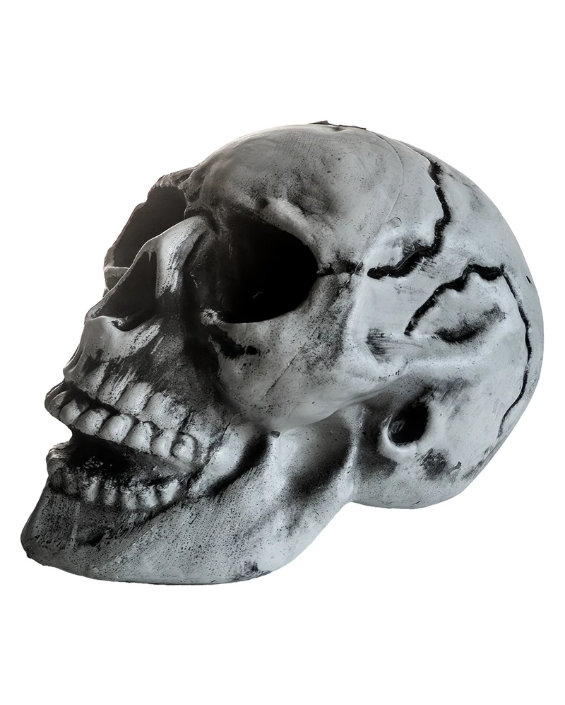 Preiswerter Halloween Totenschädel 24cm