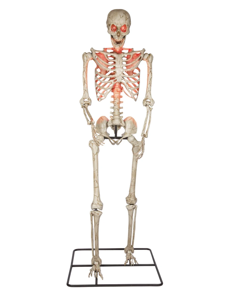 Gigantisches Halloween Skelett 3 Meter