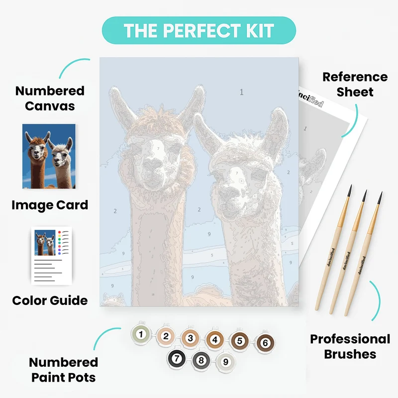 Adorable Alpacas - Paint by Numbers Kit