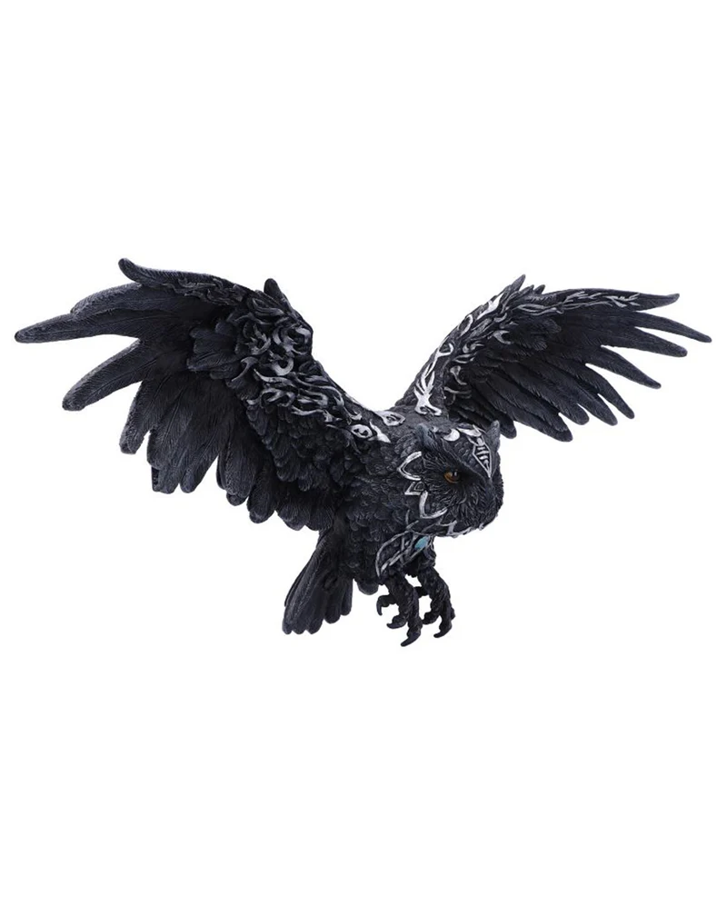 Dark Feather Owl Wandbild 55cm