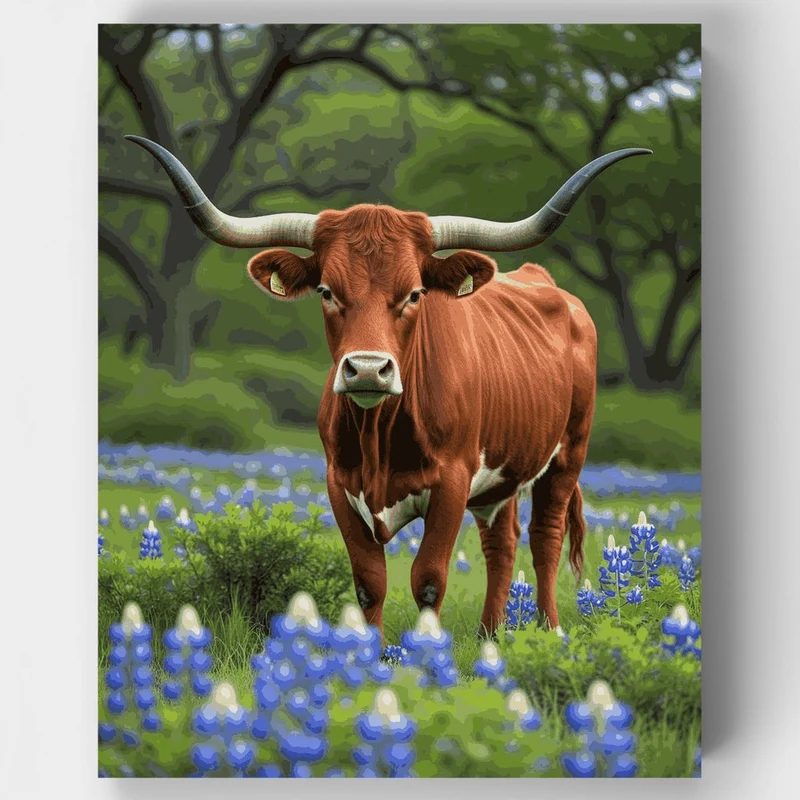 Texas Longhorn in Spring Meadow - Paint by Numbers Kit