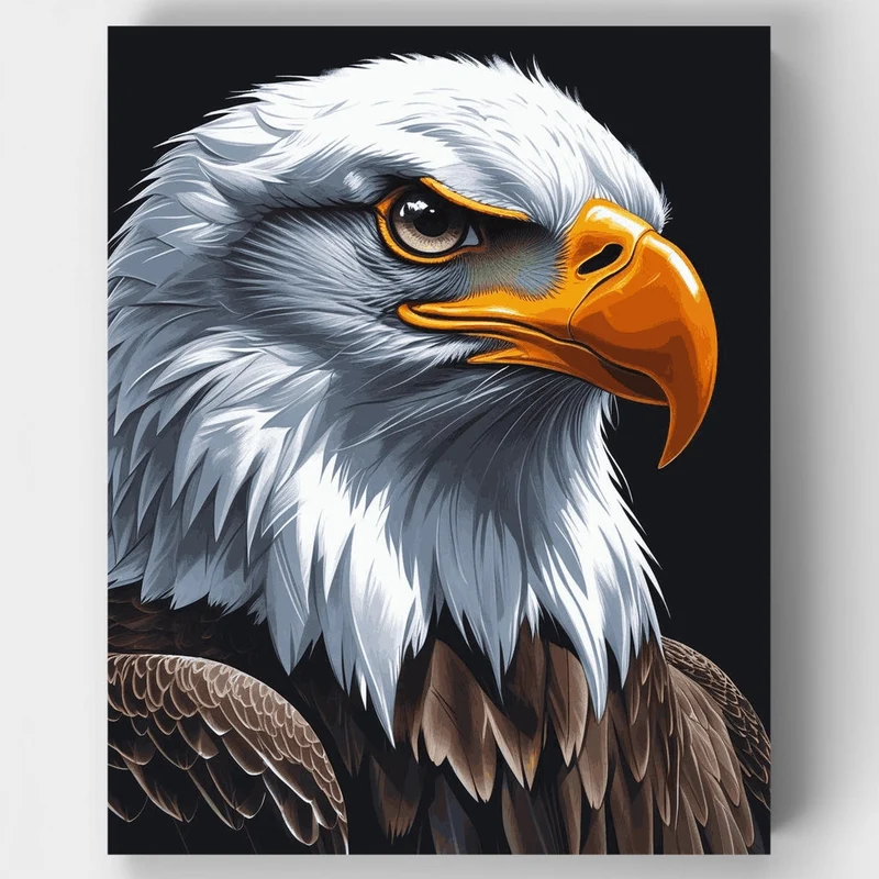 Majestic Bald Eagle Portrait - Paint by Numbers Kit