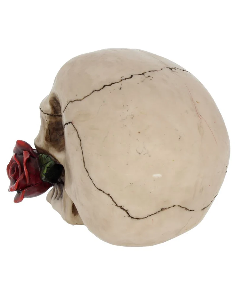 Beiger Totenschädel mit roter Rose 15cm