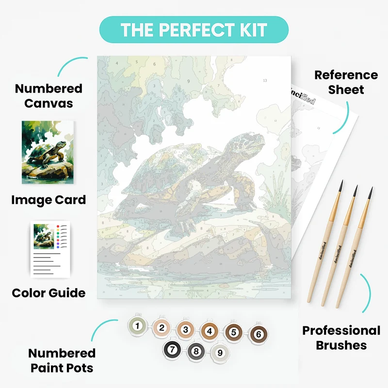 Majestic Turtle on Rocky Shoreline - Paint by Numbers Kit