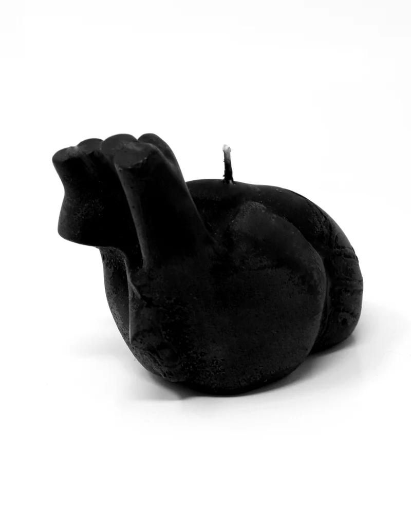 Schwarze Anatomische Herz Kerze