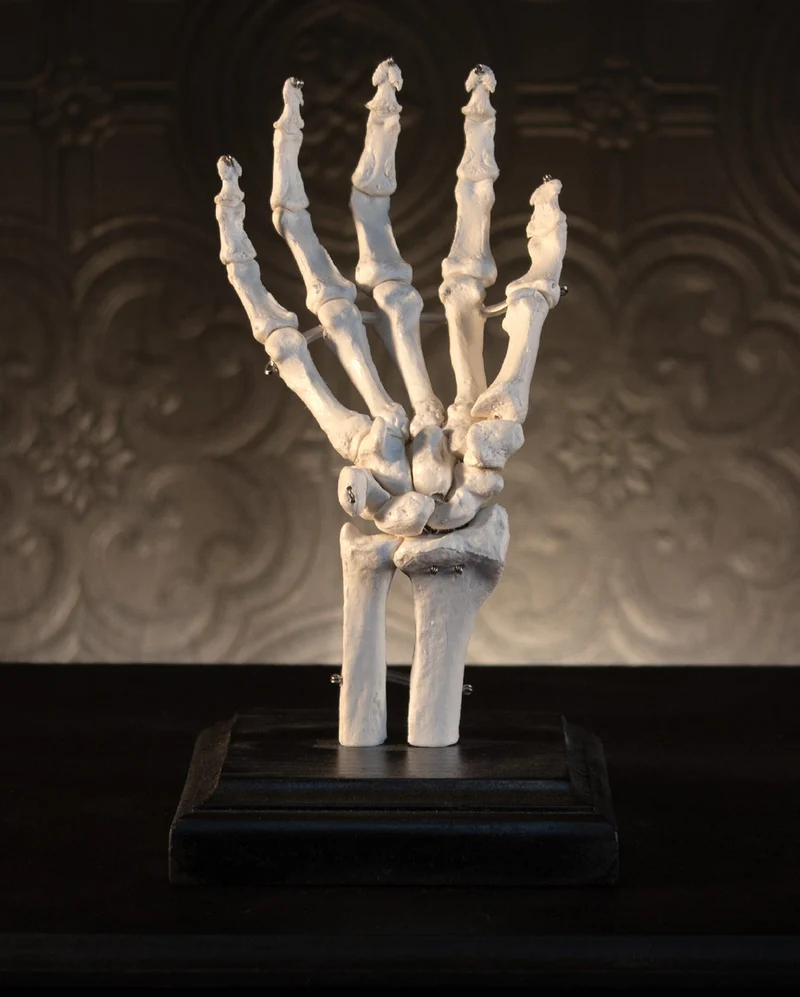 Skeletthand Schmuckständer