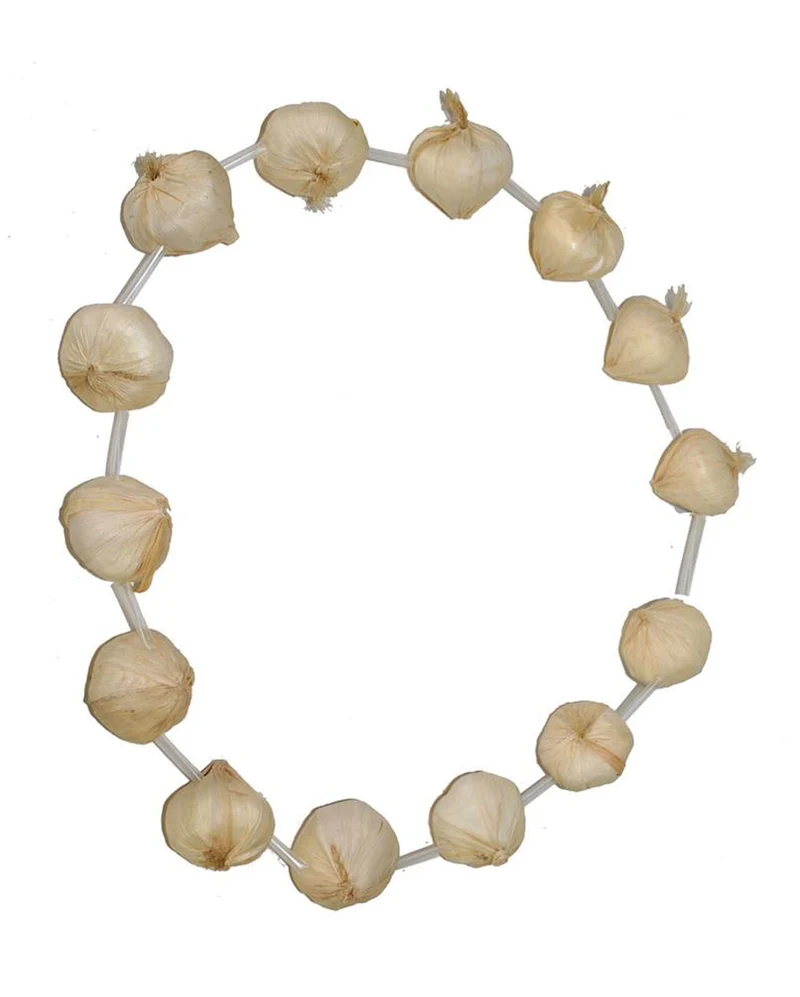 Knoblauch Halskette