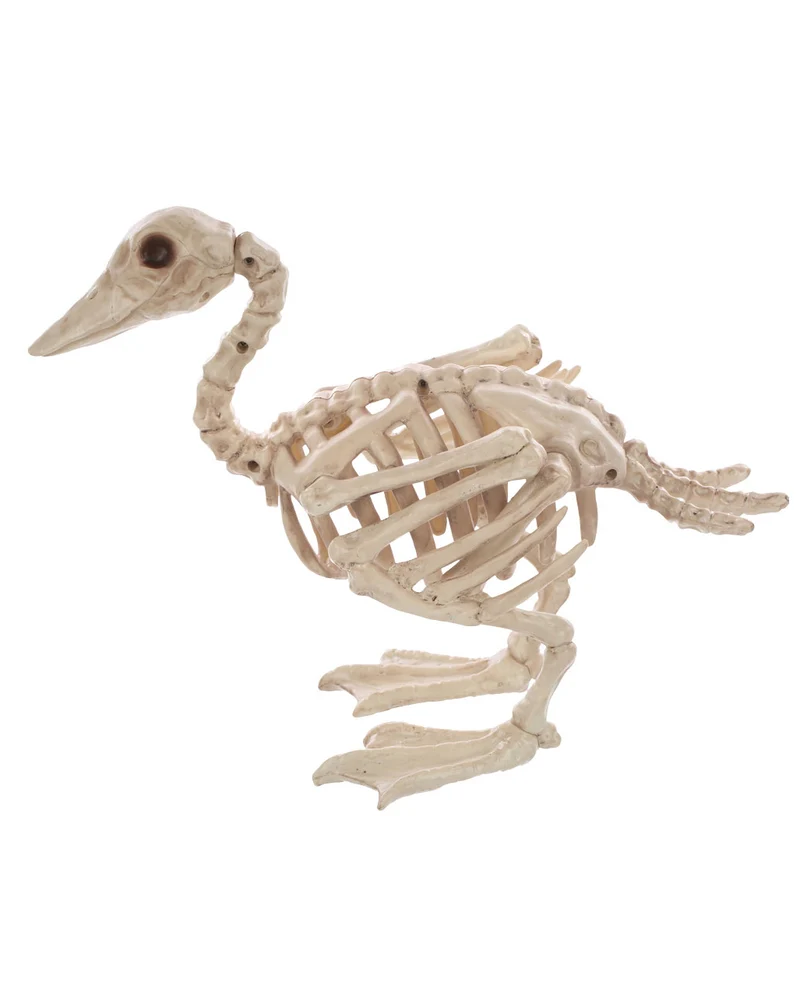 Baby Skelett Ente 19cm