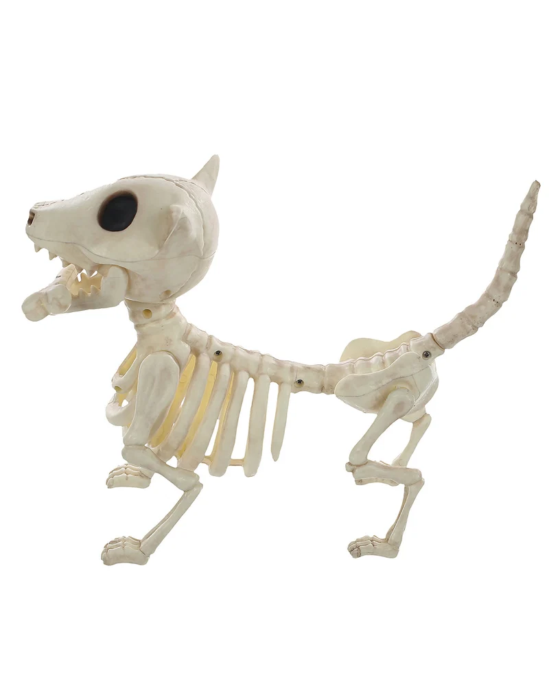 Skelett Hund mit Knochen 27cm