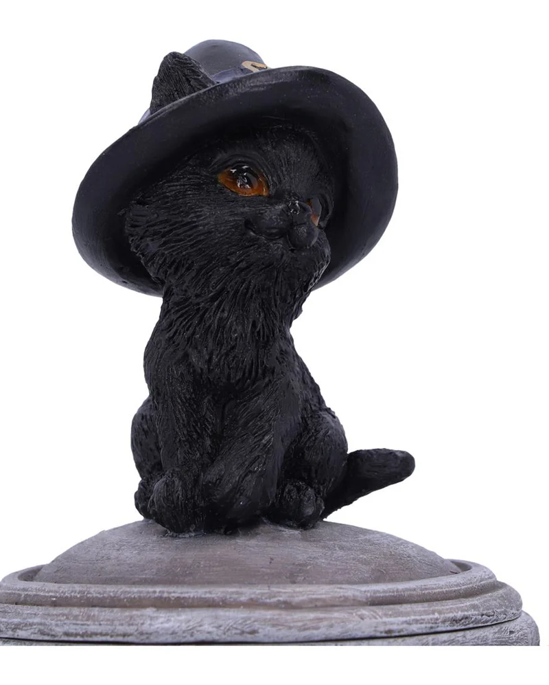 Schwarze Katze mit Hexenkessel Schatulle 14cm