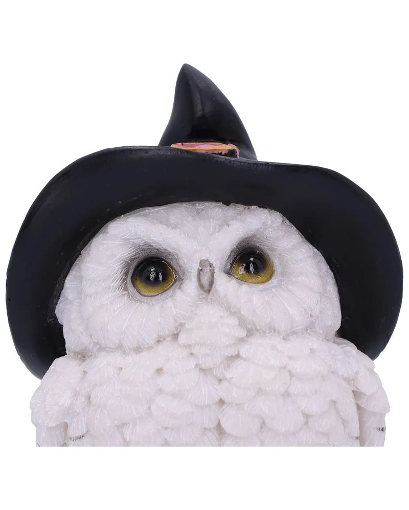 Schneeeule mit Hexenhut