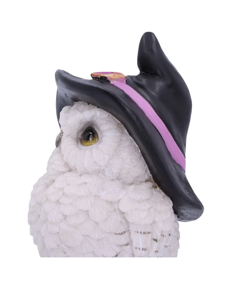 Schneeeule mit Hexenhut
