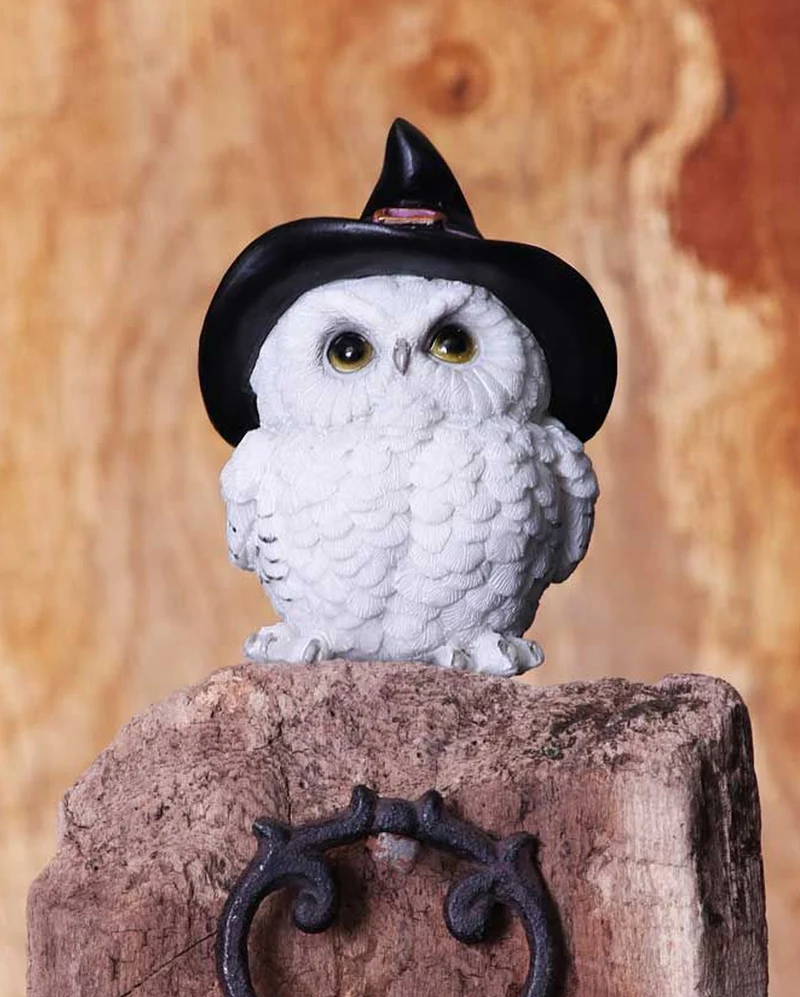 Schneeeule mit Hexenhut