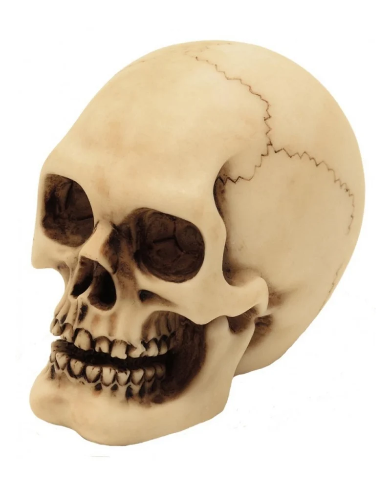 2er Set Graveyard Totenkopf Medium