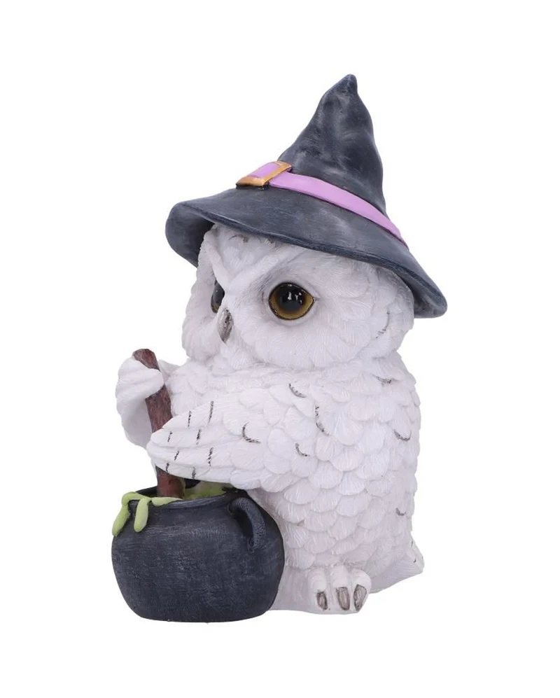 Schneeeule mit Hexenkessel