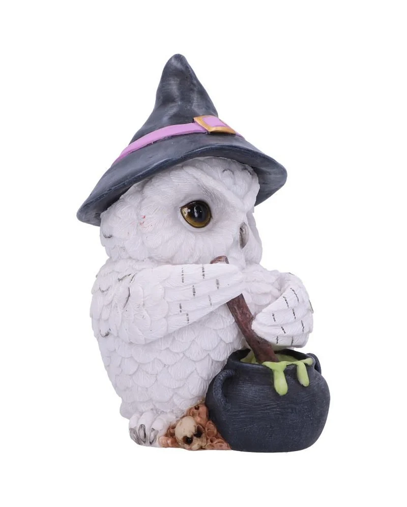 Schneeeule mit Hexenkessel