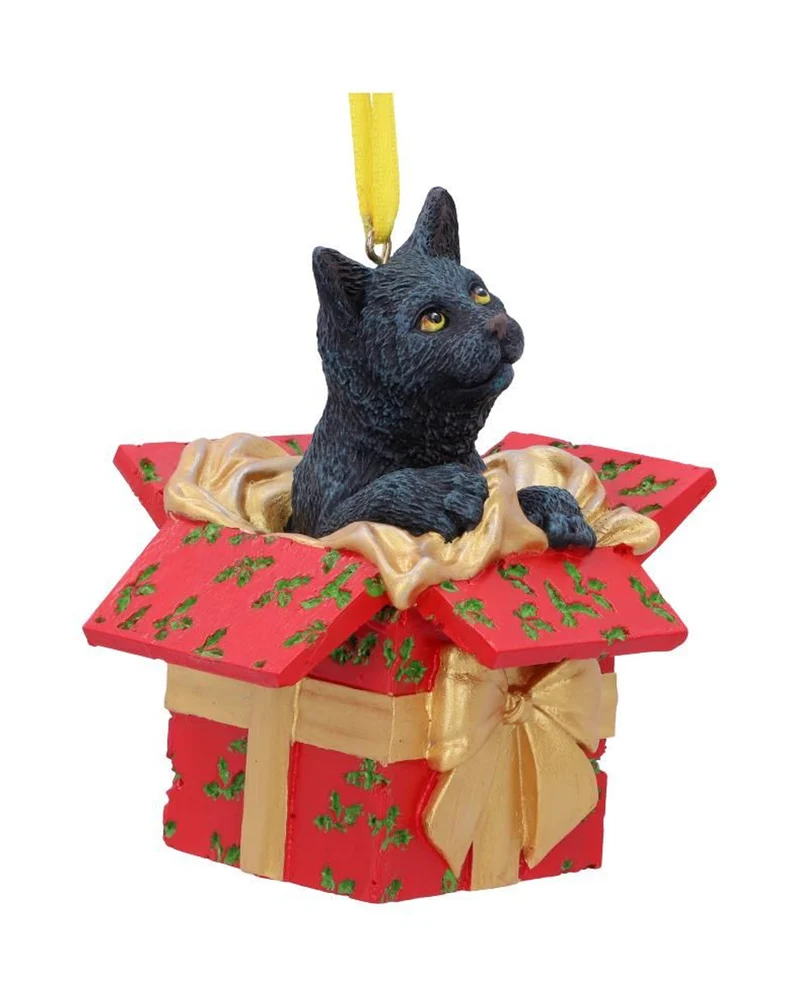 Katzen-Geschenk Weihnachtskugel 9cm