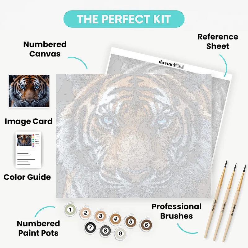Intense Tiger Gaze Close-Up - Paint by Numbers Kit