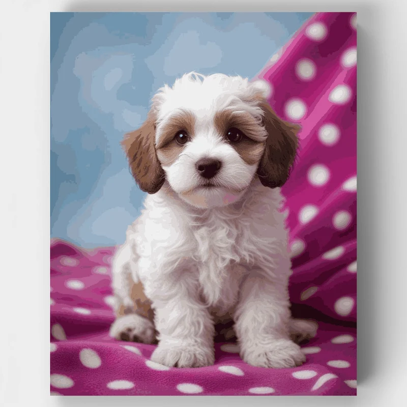 Fluffy Cavapoo Puppy on Pink Polka Dots - Paint by Numbers Kit