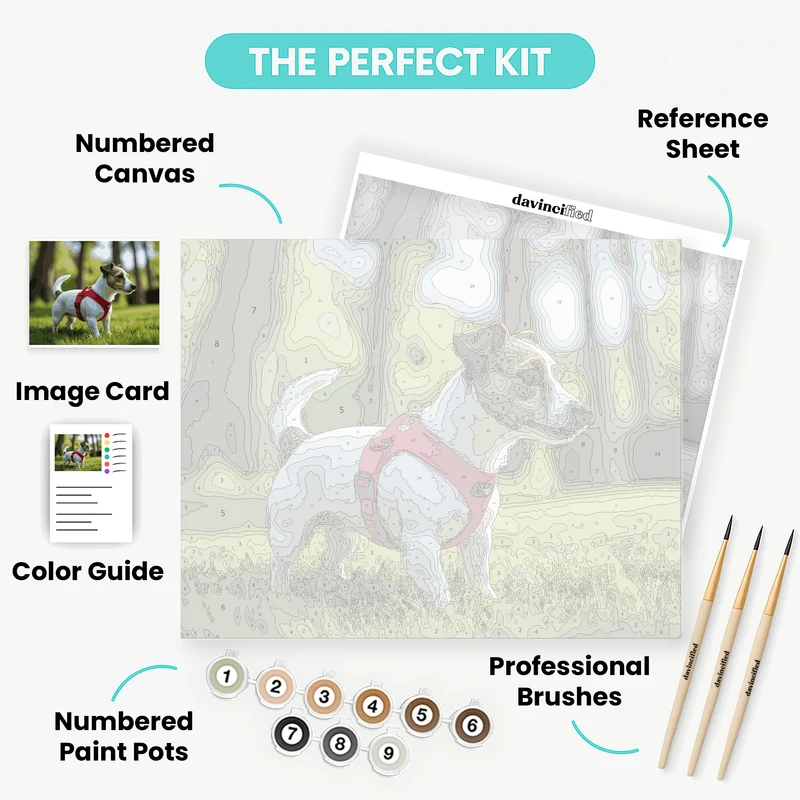 Jack Russell in Red Harness - Paint by Numbers Kit