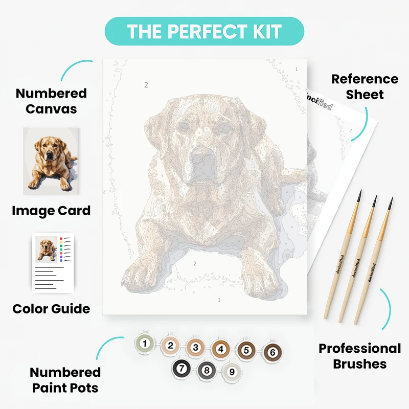 Golden Labrador Retriever - Paint by Numbers Kit