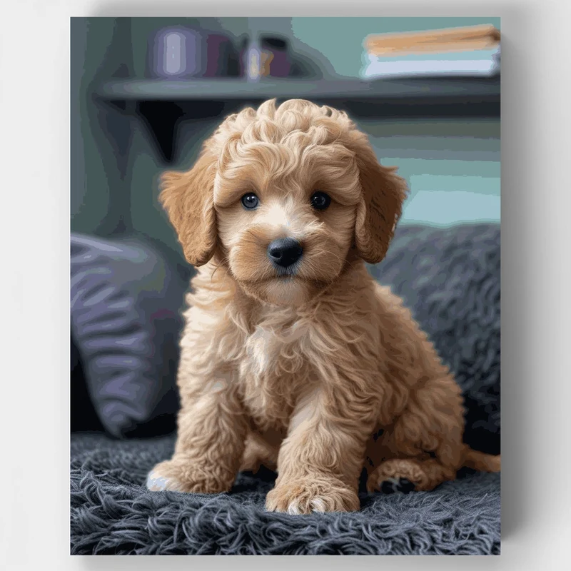 Fluffy Cavapoo Puppy on Gray Blanket - Paint by Numbers Kit
