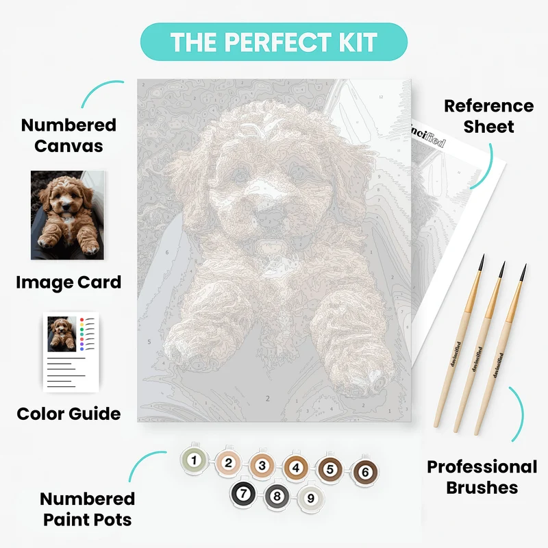 Adorable Cavapoo Puppy - Paint by Numbers Kit