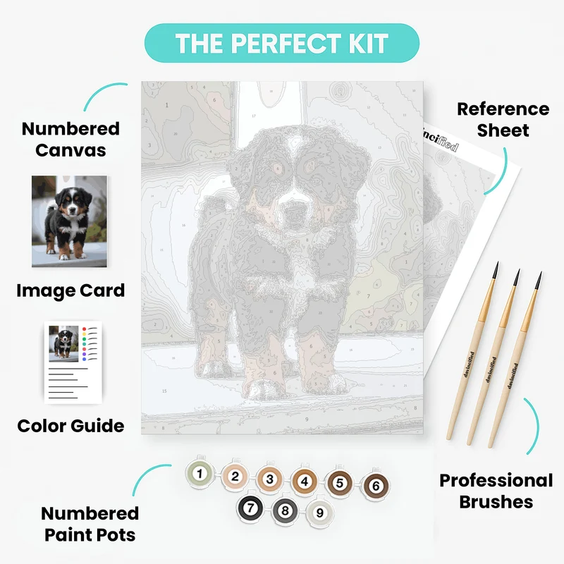 Bernese Mountain Dog Puppy - Paint by Numbers Kit