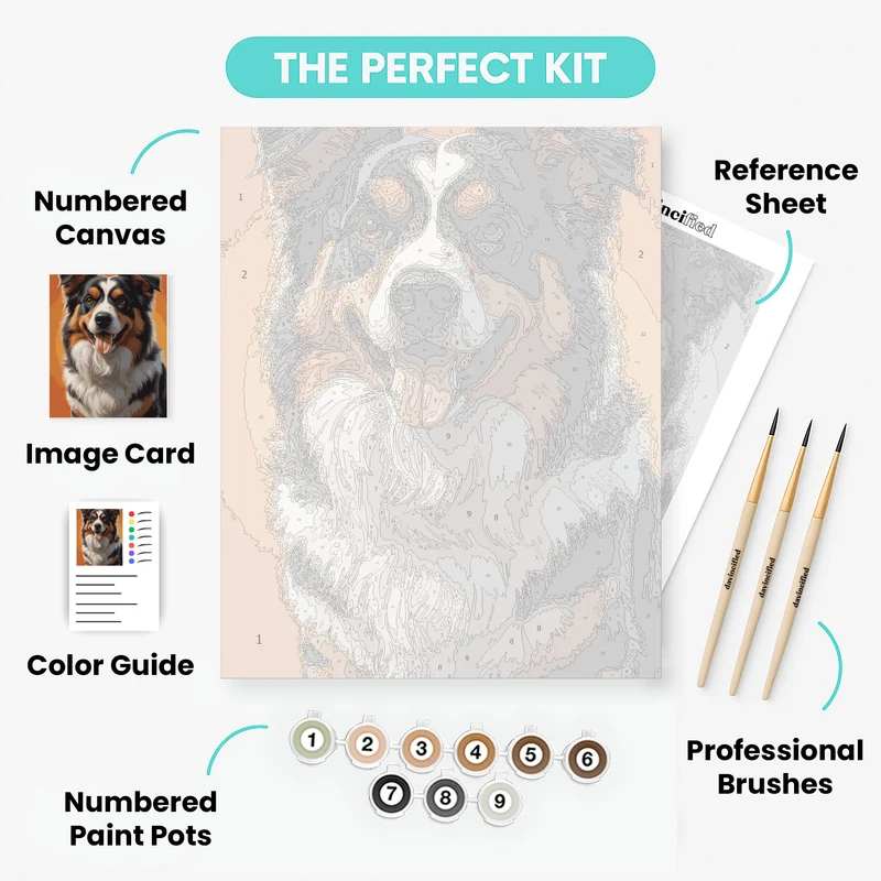 Tri-Color Australian Shepherd Portrait - Paint by Numbers Kit