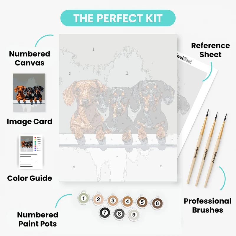 Three Dachshunds - Paint by Numbers Kit