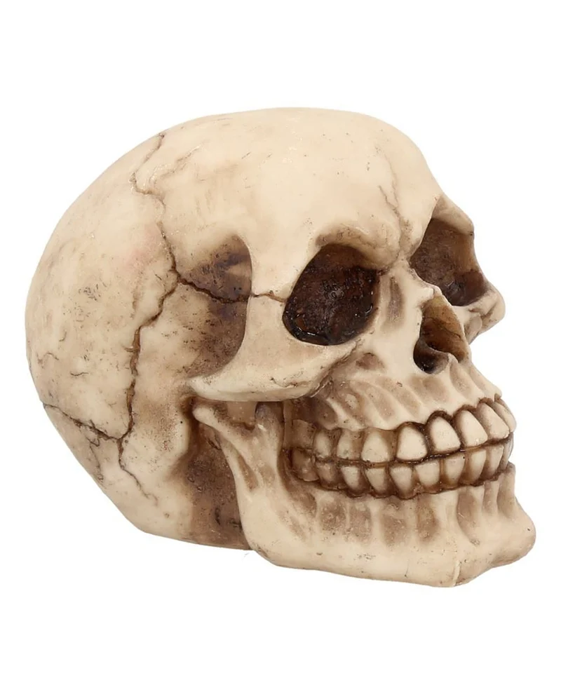 Kleiner Grinsender Totenschädel 12cm