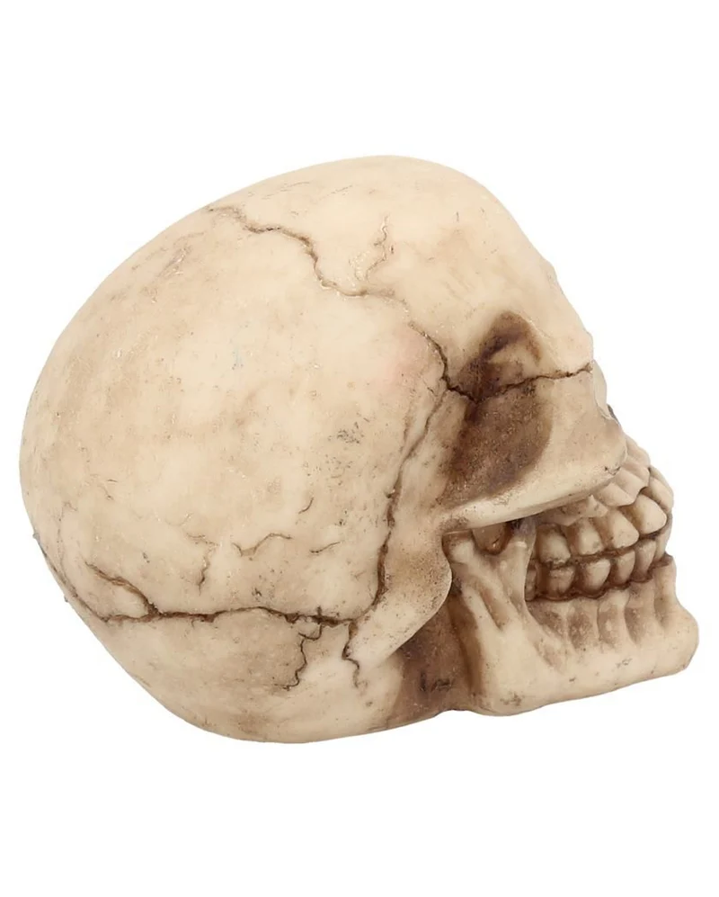 Kleiner Grinsender Totenschädel 12cm