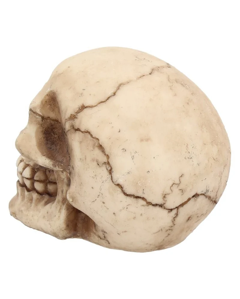 Kleiner Grinsender Totenschädel 12cm