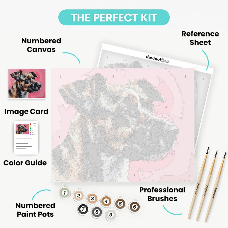 Tricolor Dog Portrait on Pink - Paint by Numbers Kit
