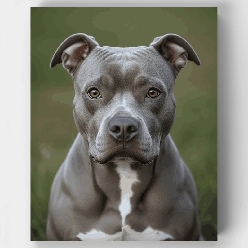 Gray Pitbull Portrait - Paint by Numbers Kit