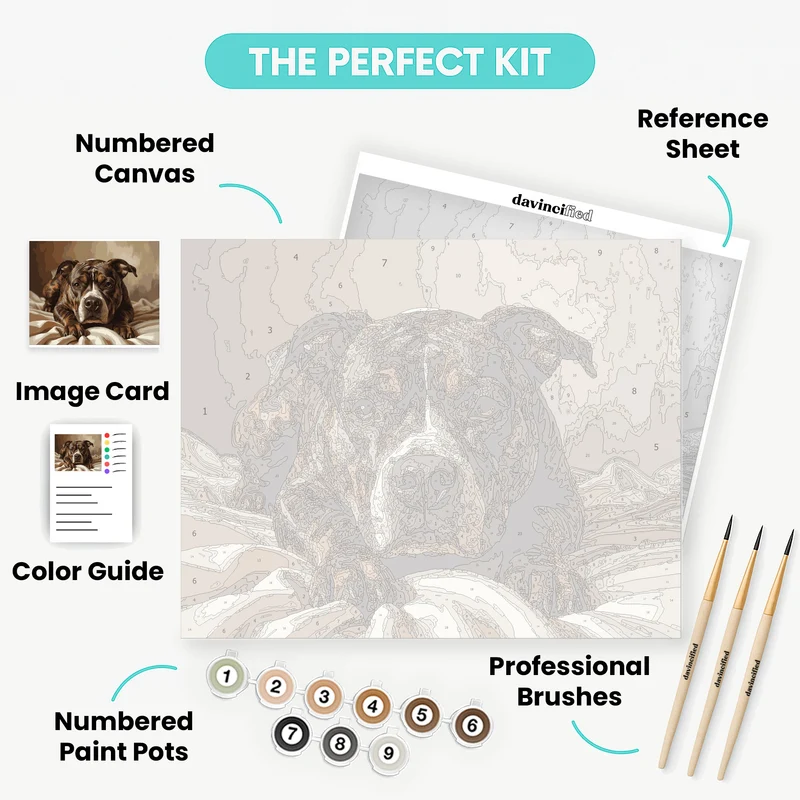 Pitbull Resting on Bed - Paint by Numbers Kit