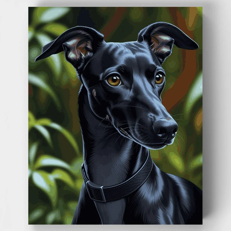 Black Greyhound Portrait - Paint by Numbers Kit