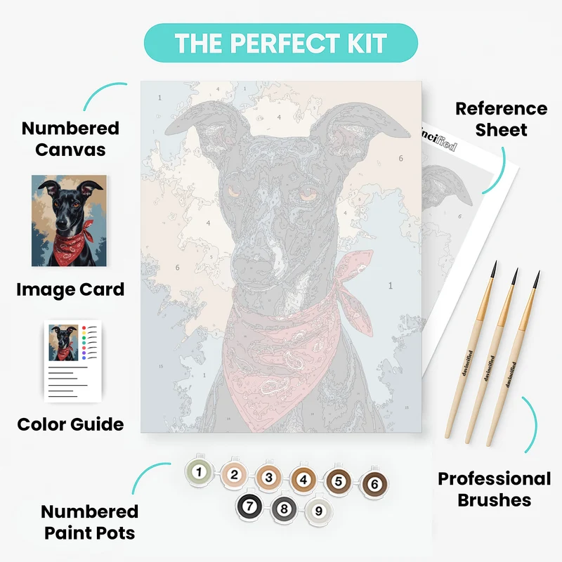 Black Greyhound with Red Bandana - Paint by Numbers Kit