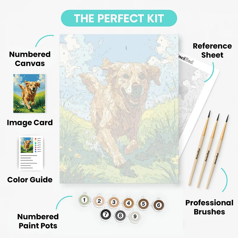 Golden Retriever Running Through Sunny Meadow - Paint by Numbers Kit